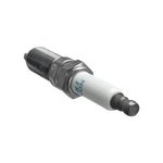 ILTR5B11_4