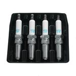 ILTR5B11_5